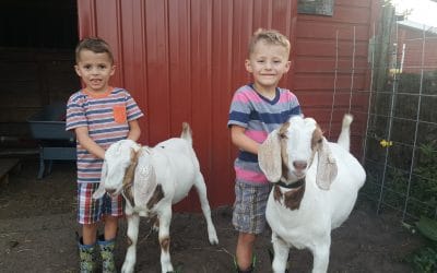 It’s Fair Time! Why The Berrien County Youth Fair Is Tradition