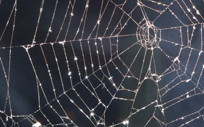 4 Not-So-Spooky Halloween Hotspots for Michigan’s Sunset Coast Families