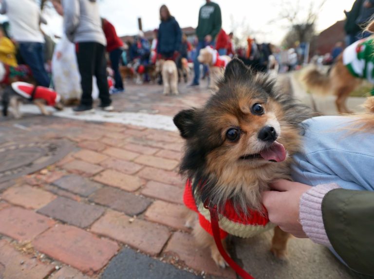 Reindog Parade 2022