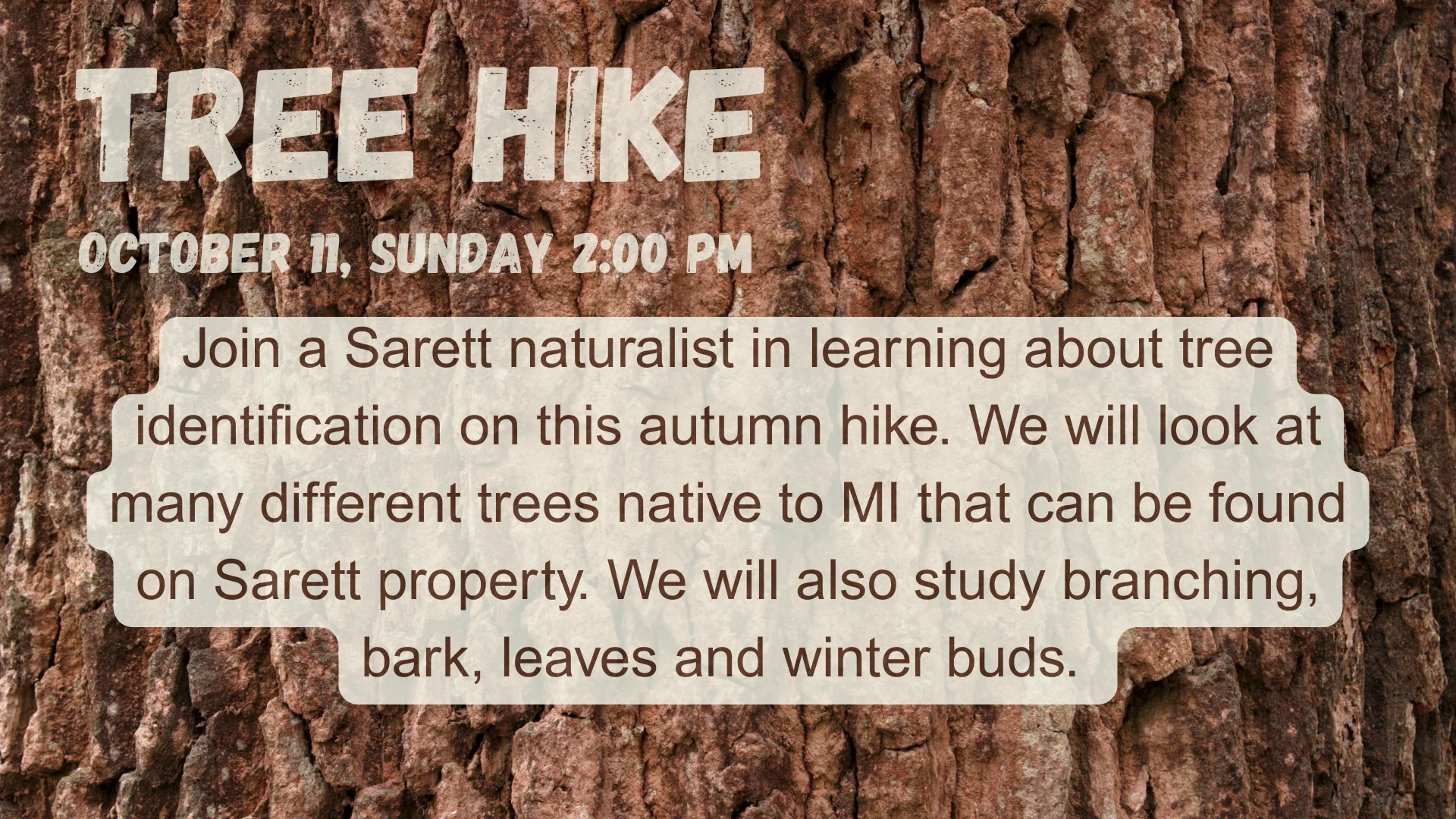 Tree Hike at Sarett Nature Center, Benton Harbor Michigan