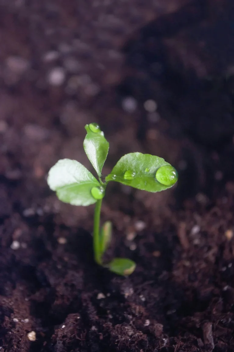 Winter Sowing Workshop at Sarett Nature Center, Benton Harbor Michigan