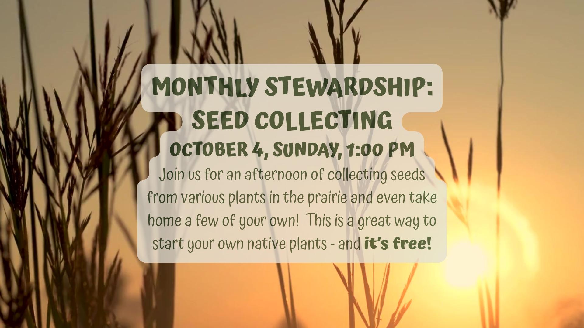 Monthly Stewardship - Seed Collecting at Sarett Nature Center, Benton Harbor Michigan